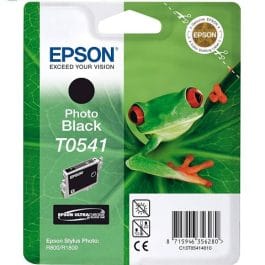 Tinteiro Epson T0541 Preto Photo