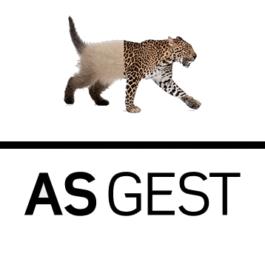 ASGEST – Software de Gestão